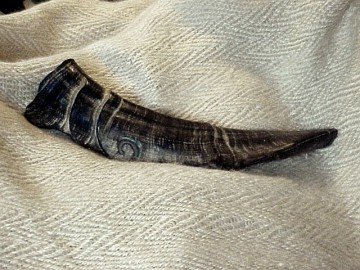 The wrap displayed with a shepherd's trumpet goat horn
