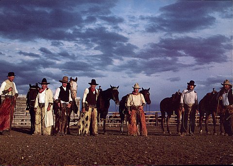 cowboys in chaps