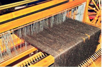 warped loom