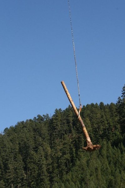 eleven ton log transported in minutes