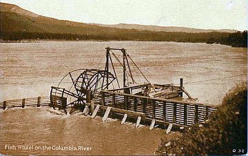 salmon wheel on the Columbia River