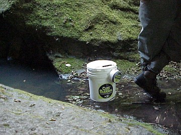 august 2005 fish rescue image