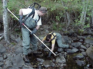 august 2005 fish rescue image